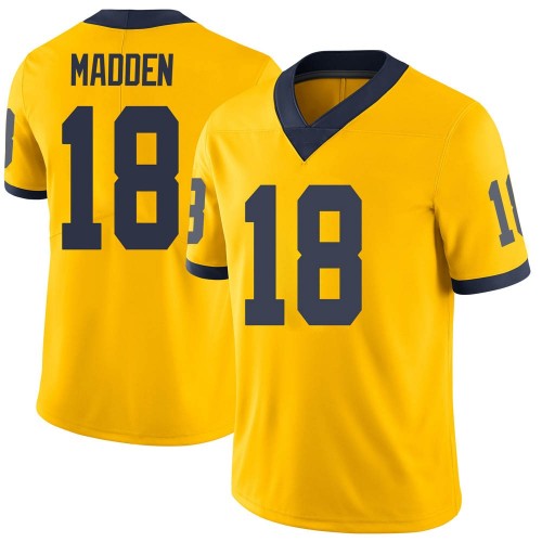 Jesse Madden Michigan Wolverines Youth NCAA #18 Maize Limited Brand Jordan College Stitched Football Jersey RYU5254BE